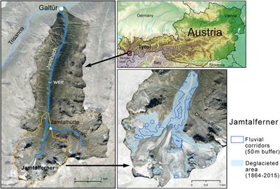 Tracing the Long-Term Evolution of Land Cover in an Alpine Valley 1820–2015 in the Light of Climate, Glacier and Land Use Changes